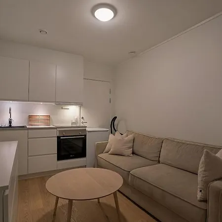 Northern Lights Apartment *